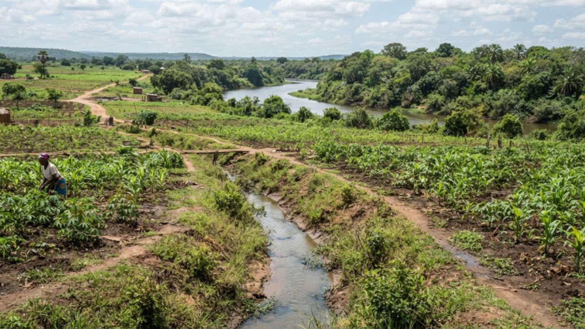 Vala de escoamento simples a atravessar uma machamba perto de um rio, vegeta&ccedil;&atilde;o ribeirinha ao fundo.