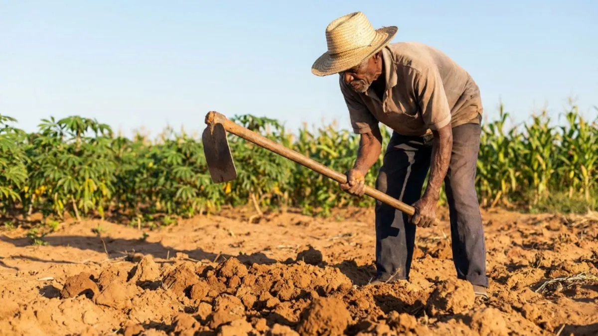 Como Preparar o Solo em Moçambique: Guia Completo